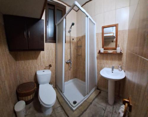 een badkamer met een douche, een toilet en een wastafel bij Koukaki in Kouka