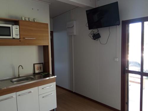 eine Küche mit einer Spüle und einer Mikrowelle in der Unterkunft Nuestro sueño 2 in Colonia del Sacramento