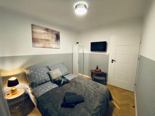 een slaapkamer met een bed en een tafel en een televisie bij ClickTheFlat Karmelicka Apart Rooms in Warschau