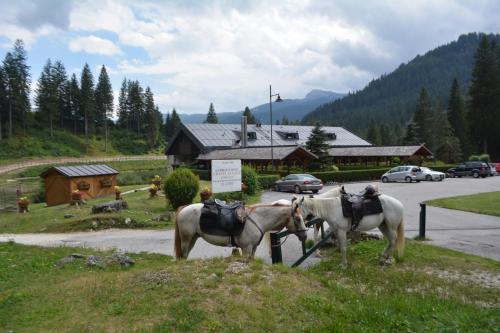 Chalet Al Lago