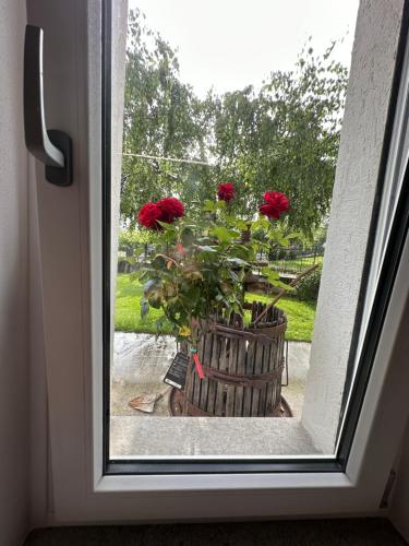 アオスタにあるGrand Arvouの赤い花の鉢窓