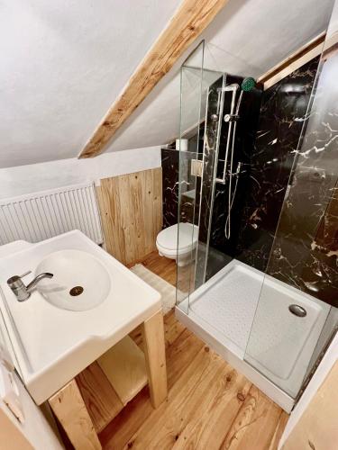 a bathroom with a sink and a shower at Santova roubenka in Štramberk