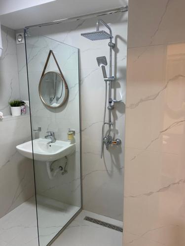 a bathroom with a shower with a sink and a mirror at Villa Jelena in Negotino