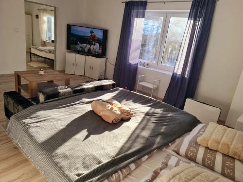 En eller flere senge i et værelse på Celý apartmánový dom Donovaly-Hanesy
