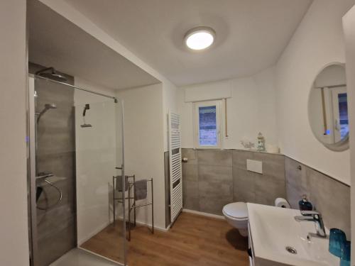 アルンスベルクにあるFewo Beckerのバスルーム(シャワー、トイレ、シンク付)