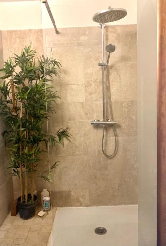 La salle de bains est pourvue d'une douche avec des plantes. dans l'établissement Family Friends, à Paris