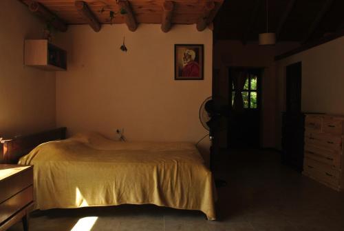 El Molle – Photos 5