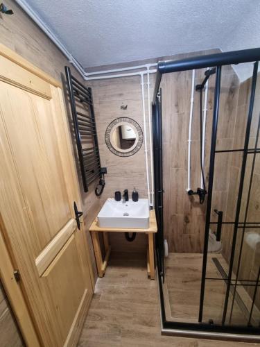 uma casa de banho com um lavatório e um espelho em Mountain house em Žabljak