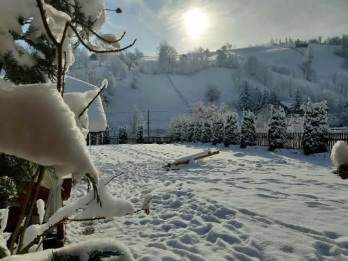 a yard covered in snow with the sun in the background at Vila Anto in Şimon