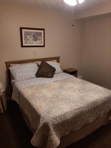 ein Schlafzimmer mit einem Bett mit einem Kissen darauf in der Unterkunft Trillium Bed & Breakfast in Niagara Falls