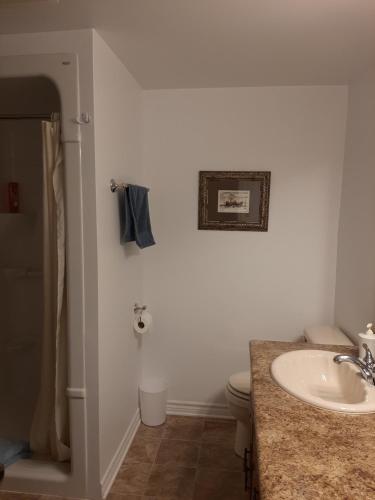 ein Bad mit einem Waschbecken und einem WC in der Unterkunft Trillium Bed & Breakfast in Niagara Falls