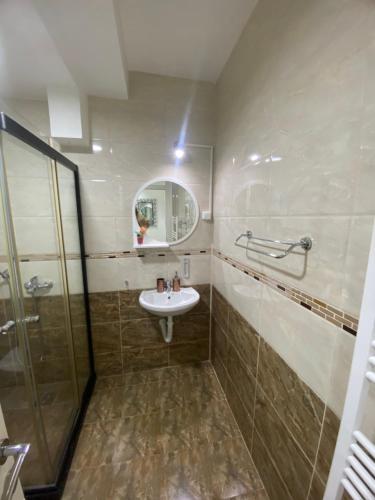 a bathroom with a sink and a shower and a mirror at Villa Jelena in Negotino