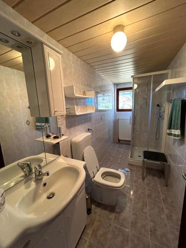 a bathroom with a white sink and a toilet at Apartma Bine in Cerkno