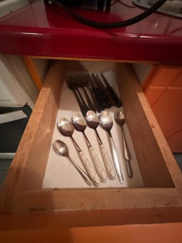 a drawer with spoons and other kitchen utensils at Apartment Boulevard in Belgrade