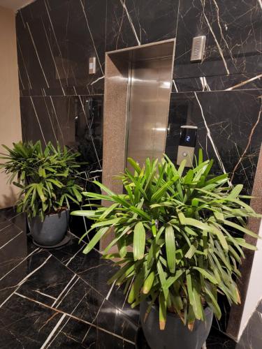 508 SD Zanita Heights في Vasco Da Gama: اثنين من النباتات الفخارية على منضدة الحمام أمام المرآة