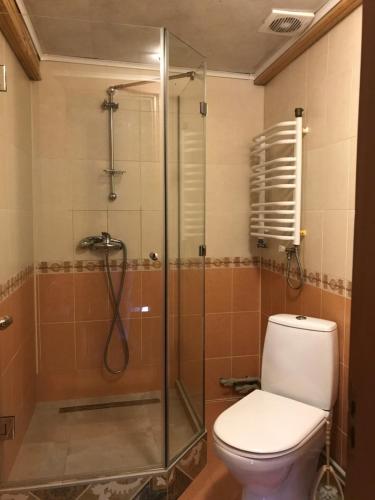 La salle de bains est pourvue de toilettes et d'une douche en verre. dans l'établissement Karpatske Vidlunnya, à Mykulychyn