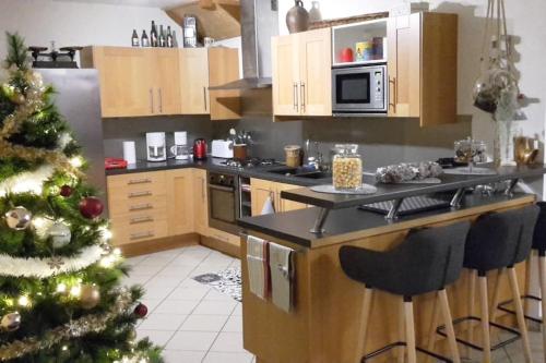 una cocina con un árbol de Navidad en el medio en Gîte du Flotteur, en Chevroches