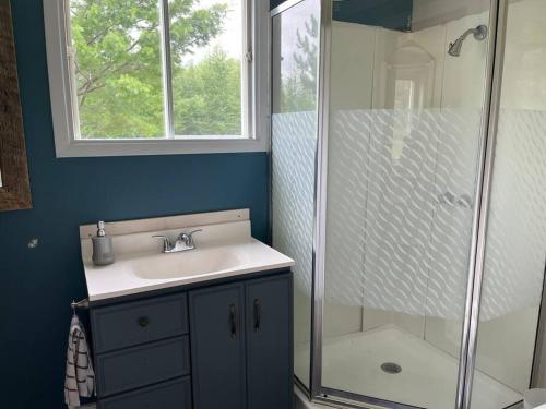 a bathroom with a sink and a shower at Le Gaston, chalet en campagne 