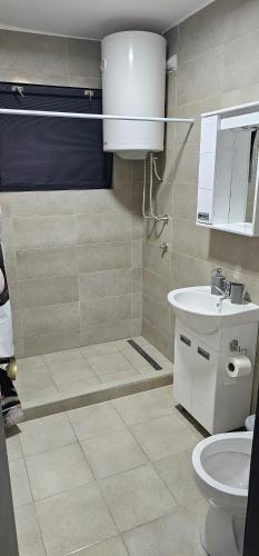 La salle de bains est pourvue de toilettes et d'un lavabo. dans l'établissement Apartman Tas, à Belgrade