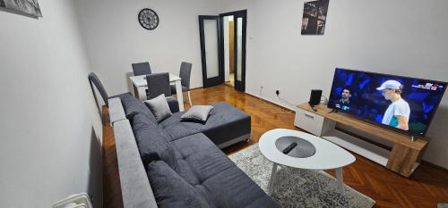 Il comprend un salon doté d'un canapé et d'une télévision à écran plat. dans l'établissement Apartman Tas, à Belgrade