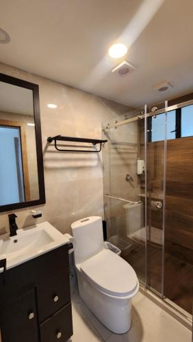 a bathroom with a toilet and a sink and a shower at La Terraza suite de lujo 302 in Cuenca