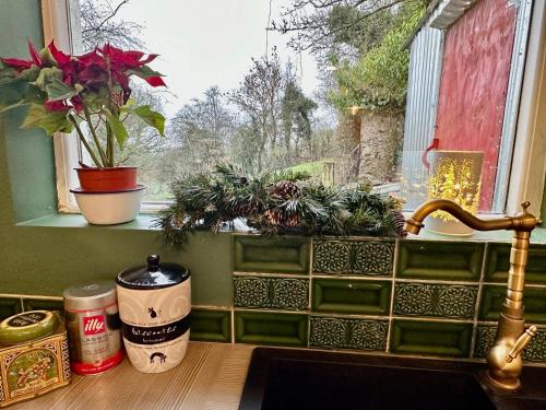 a kitchen sink with a window with potted plants at The Milking Parlour in Collinstown