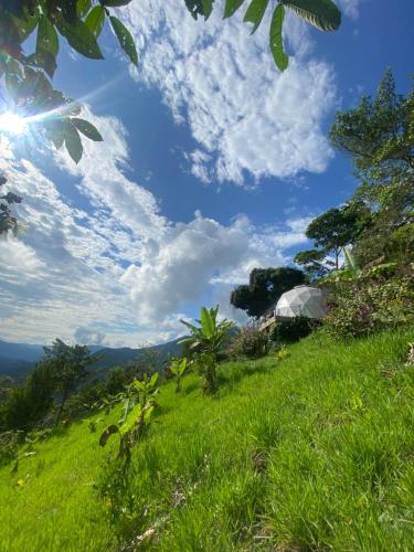 a field of grass with a blue sky and clouds at Andino Glamping in La Peña