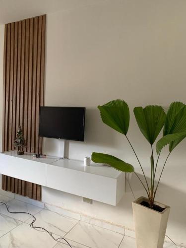 - un salon blanc avec une télévision et une plante en pot dans l'établissement Apartamento bancários, à João Pessoa