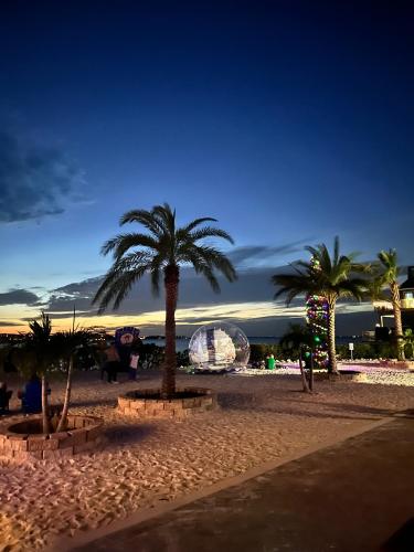 a group of palm trees on a sandy beach at The Suites at Fishermen's Village - 2 Bedroom Suites in Punta Gorda