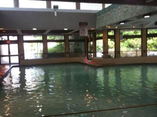 a large pool of water in a building at Vancouver’s Homey Laneway House in Vancouver