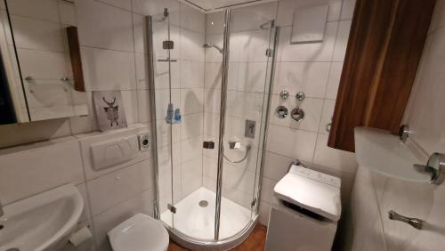 y baño con ducha, aseo y lavamanos. en FeWo AllgäuZeit mit Hallenbad & Sauna & kostenlosem WLAN, en Missen-Wilhams