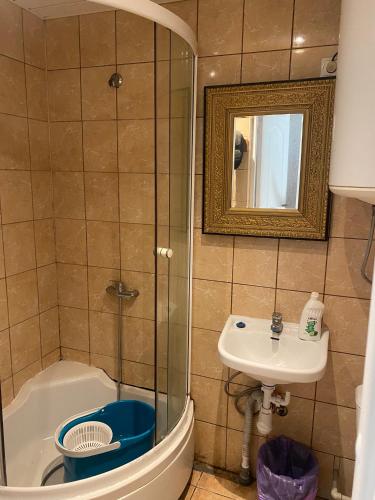 ein Bad mit einer Dusche, einem Waschbecken und einem WC in der Unterkunft Mini room in Kėdainiai