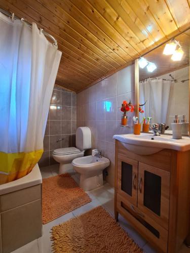 e bagno con servizi igienici, lavandino e doccia. di Casa dos Pinheiros - Serra da Estrela a Penhas da Saúde