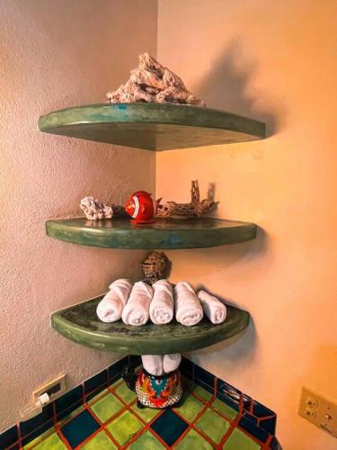 two green shelves on a wall with shoes on them at Private Home with Pool and Spa - Kayaks, Quad Rental in Las Palmas