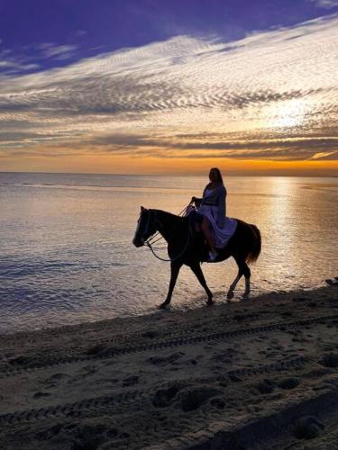 a woman riding a horse on the beach at Private Home with Pool and Spa - Kayaks, Quad Rental in Las Palmas