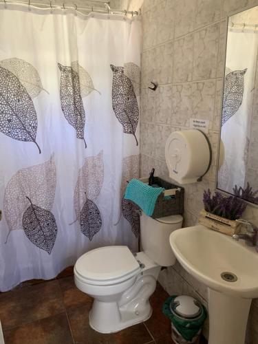 a bathroom with a toilet and a shower curtain with umbrellas at Cabanas Klenner in Puerto Varas