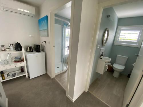 a bathroom with a toilet and a shower and a sink at Tregandale in Greytown