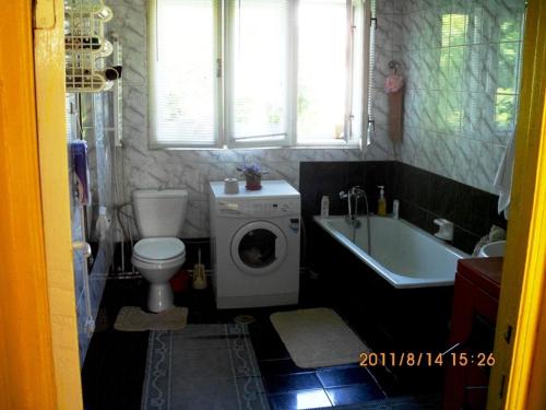 a bathroom with a toilet and a washing machine at Cazare Poienita in Hîrtoape