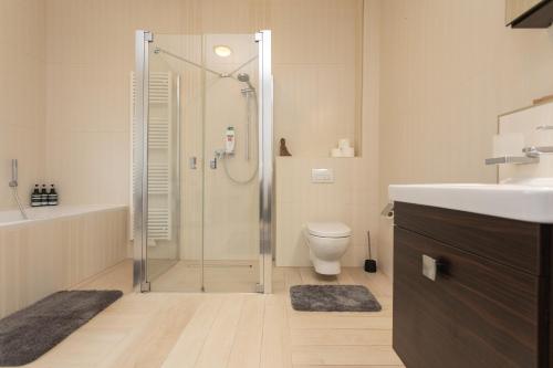 uma casa de banho com um chuveiro, um WC e um lavatório. em Stadthaus mit 2 Schlafzimmern & Wohnzimmer mit Kamin - Kostenloser Privat-Parkplatz auf dem Grundstück em Leipzig