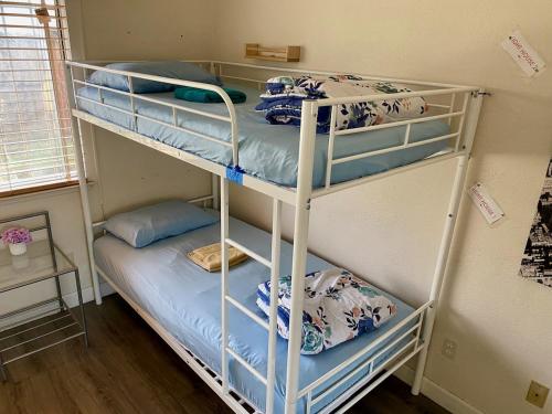 two bunk beds in a small room with a bed at WHOLE Family - Wolfgram in Sacramento