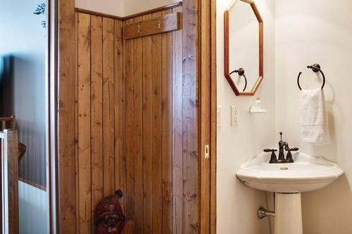 Vonios kambarys apgyvendinimo įstaigoje Snowy Bear Chalet w/ Hot Tub