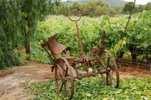 Κήπος έξω από το Agroturismo Sa Vinya d'en Palerm