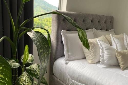 a bed with white pillows in a room with a window at Buscas hospedarte en el Quindío in Armenia