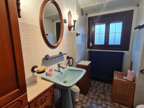 ein Bad mit einem Waschbecken und einem Spiegel in der Unterkunft Gîte Thélod, 3 pièces, 5 personnes - FR-1-584-100 