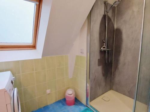 um chuveiro com uma porta de vidro na casa de banho em Gîte La Chapelle-Anthenaise, 3 pièces, 5 personnes - FR-1-600-79 