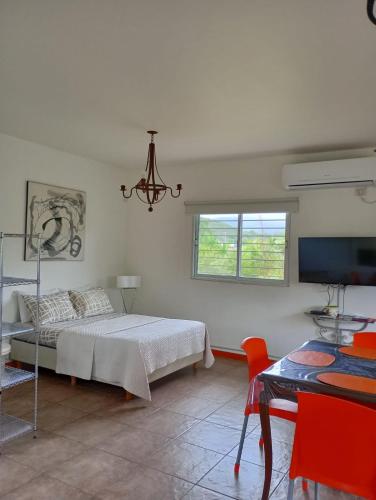 a bedroom with a bed and a flat screen tv at Loft Las Acacias in Potrero de los Funes