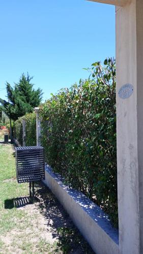 Zahrada ubytování Loft Las Acacias