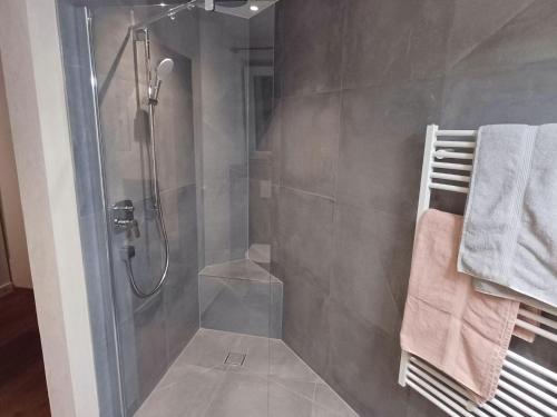 La salle de bains est pourvue d'une douche avec une porte en verre. dans l'établissement Cozy apartment near the ski lifts, à Jochberg