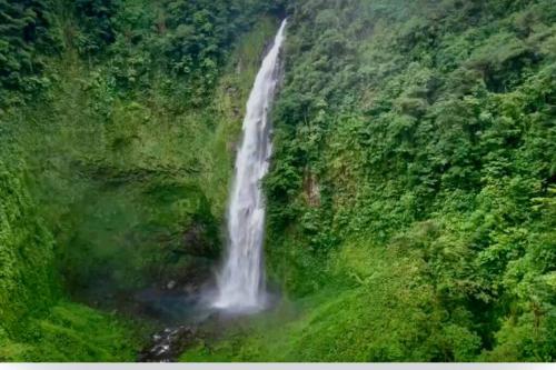 an aerial view of a waterfall in a forest at Cabaña Río Blanco Guapiles Costa Rica in Guápiles