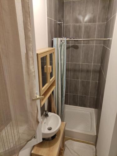 a small bathroom with a sink and a shower at Charmant appartement à 25 minutes de Paris. in Argenteuil